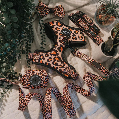 شراء كلب الحيوانات الأليفة حزام و طوق مجموعة لا سحب شبكة النيوبرين الكلب الناعمة سترة للحيوانات الأليفة المشي والركض التصنيع عبر الإنترنت