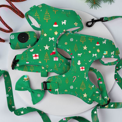 المصمم المخصص الشهير الرفاهية بدون سحب رباط قابل للتعديل رباط القوس وربطة العنق والباندانا