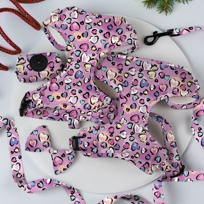 مجموعة الحمالة الكلبية المعدلة من النيوبرين المعدنية المعدلة مع رباط شعار مخصص ويتم قبول OEM / ODM