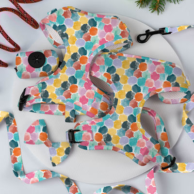 XS S M L XL حزمة الجرو والخيوط المجموعة الشبكة الهوائية طوق النيوبرين الناعمة والرصاص مجموعة