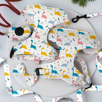 حزمة الكلاب الصغيرة القابلة للعودة ومجموعة الحبل