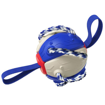 الاسم