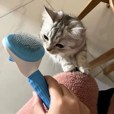 الاسم